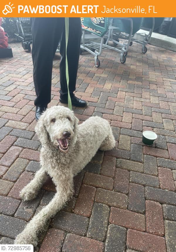 Found/Stray Male Dog last seen Argyle forest blvd/ oakleaf village parkway , Jacksonville, FL 32222