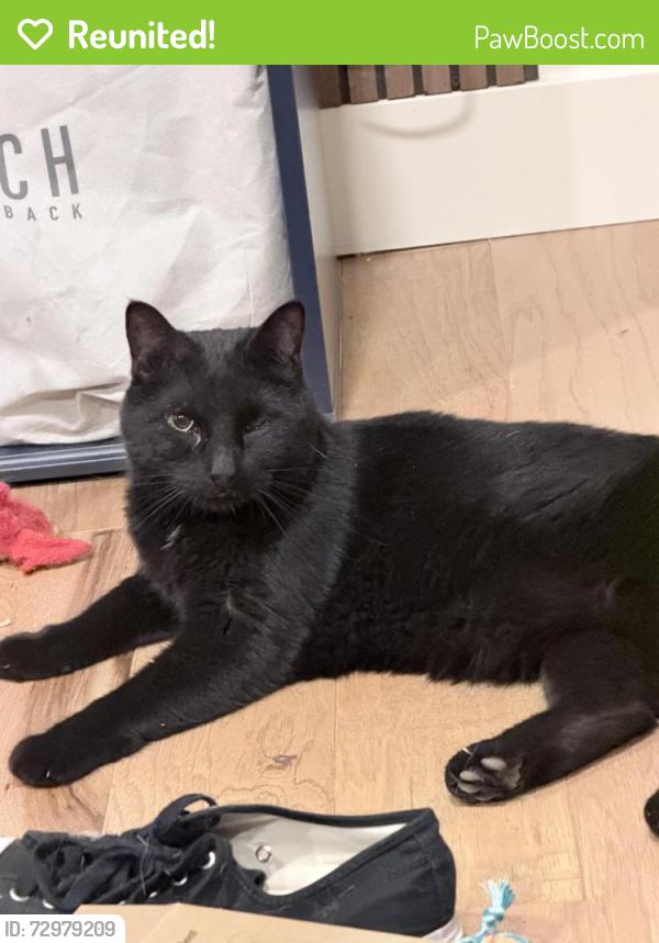 Reunited Male Cat last seen Near W, West Valley City, UT 84120