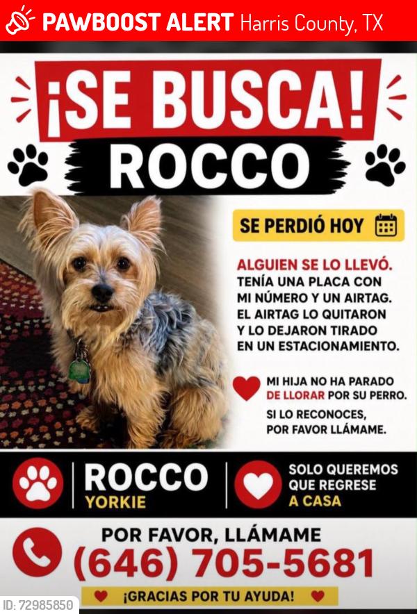 Lost Male Dog last seen Adelaide area Katy Tx, Harris County, TX 77449