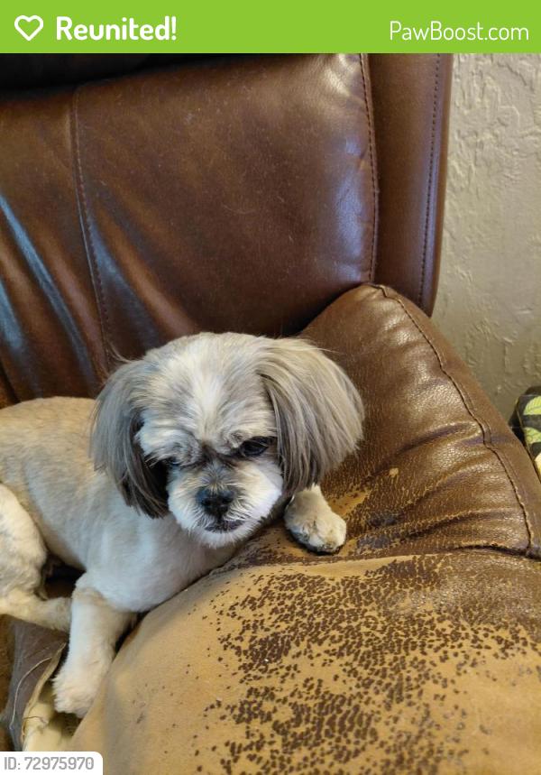 Reunited Female Dog last seen Kolb/Escalante, Tucson, AZ 85730