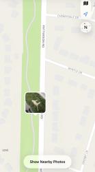 Found/Stray Unknown Cat last seen Near Loretto Manor park, Florissant, MO 63031