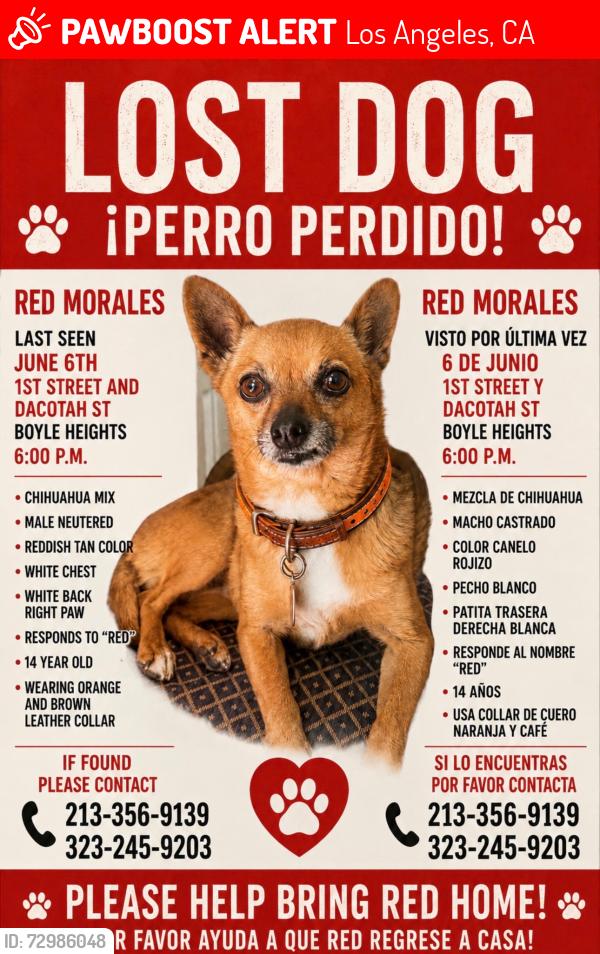 Lost Male Dog last seen 1st and Dacotah St , Los Angeles, CA 90063