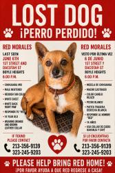 Lost Male Dog last seen 1st and Dacotah St , Los Angeles, CA 90063