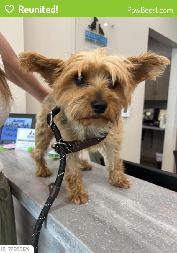 Reunited Unknown Dog last seen Hemby bridge commons neighborhood, Indian Trail, NC 28079