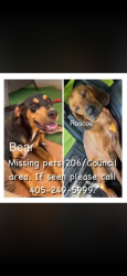 Reunited Male Dog last seen Northwest 206th Street & North Council Road, Oklahoma, USA, Oklahoma County, OK 73012