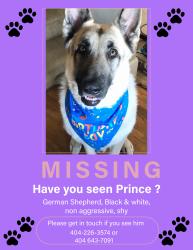 Lost Male Dog last seen Handy and popular springs rd, Hiram, GA 30127