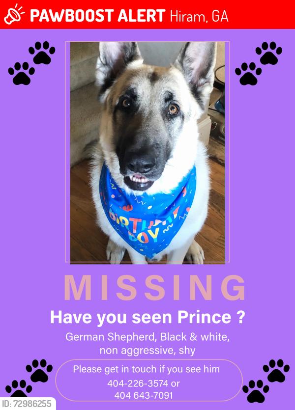 Lost Male Dog last seen Handy and popular springs rd, Hiram, GA 30127