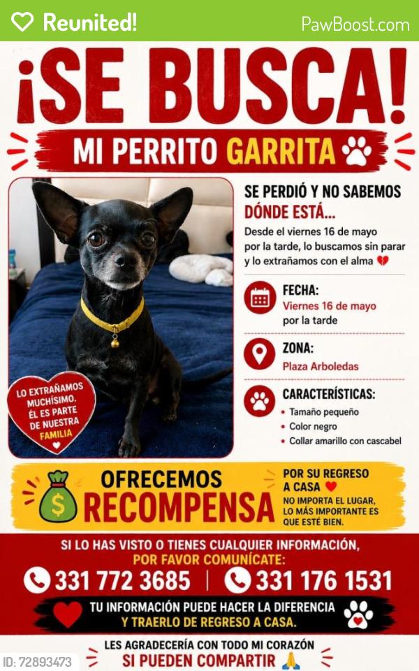 Reunited Male Dog last seen Isla paso 230 zona plaza arboledas , Guadalajara, Jal. 44530