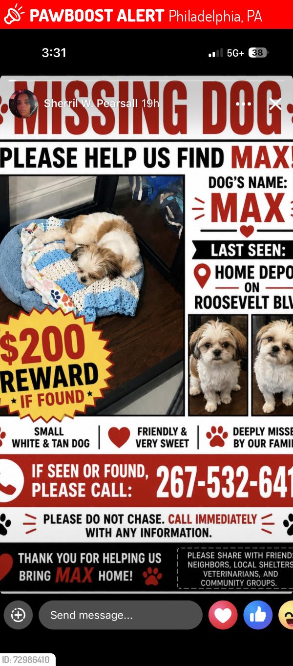 Lost Male Dog last seen Langdon street, Philadelphia, PA 19124