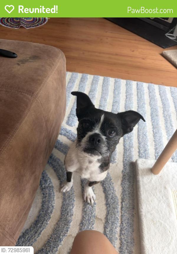 Reunited Male Dog last seen Cinnabay Dr and Treyburn Dr, Charlotte, NC 28216