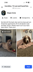 Lost Male Dog last seen Old Denton Road and Mac Arthur, Carrollton, TX 75007