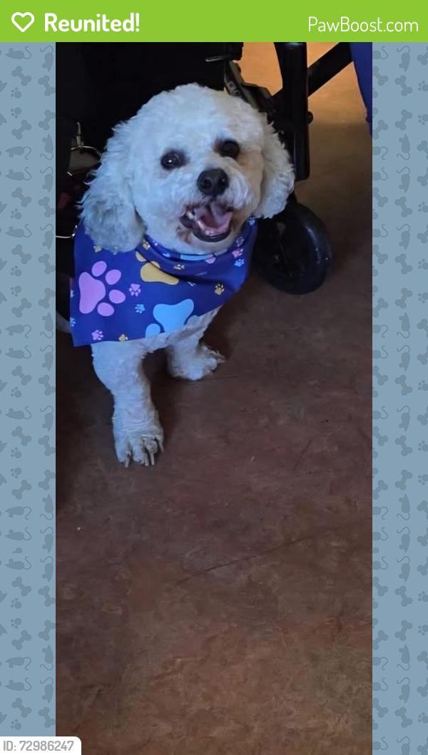 Reunited Male Dog last seen Harden, Vaudreuil-Dorion, QC J7V