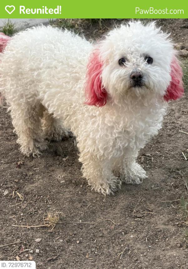Reunited Unknown Dog last seen Dos palms mesa view, Victorville, CA 92392