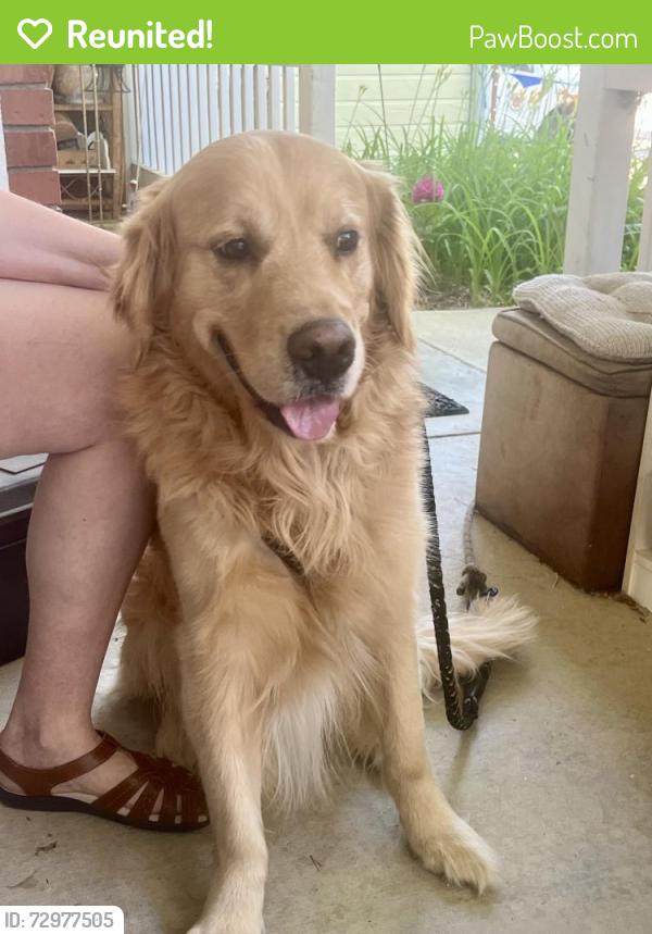 Reunited Male Dog last seen 17th and Wilson Avenue, Loveland, CO 80537