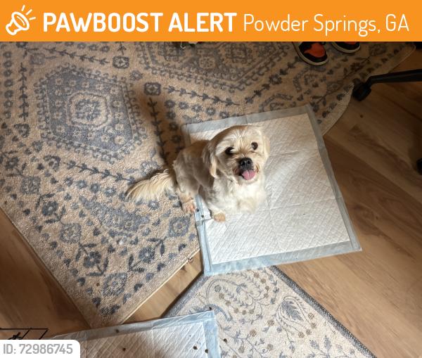 Found/Stray Male Dog last seen Faith Baptist Temple , Powder Springs, GA 30127