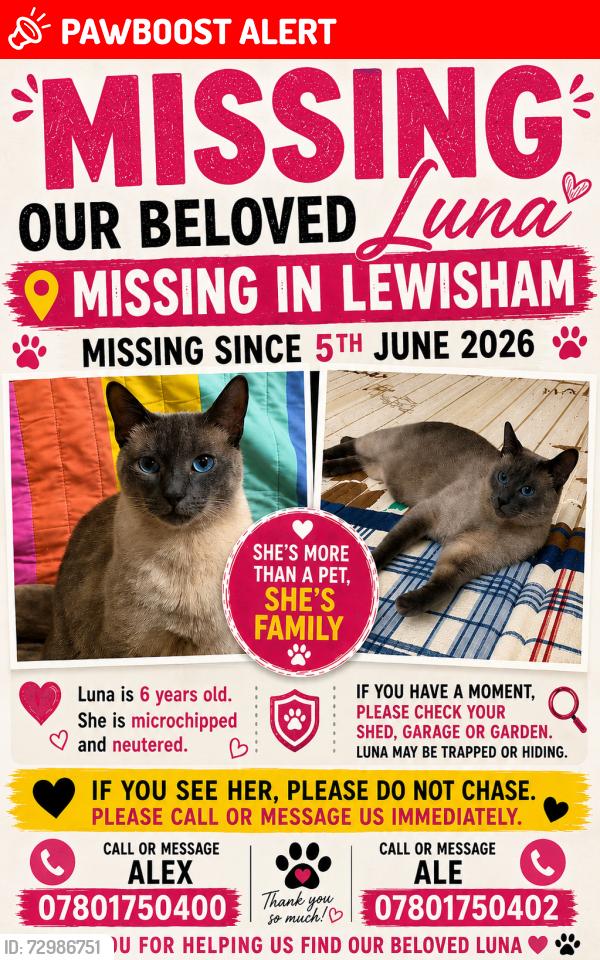 Lost Female Cat last seen Nearest Lidl, Greater London, England 