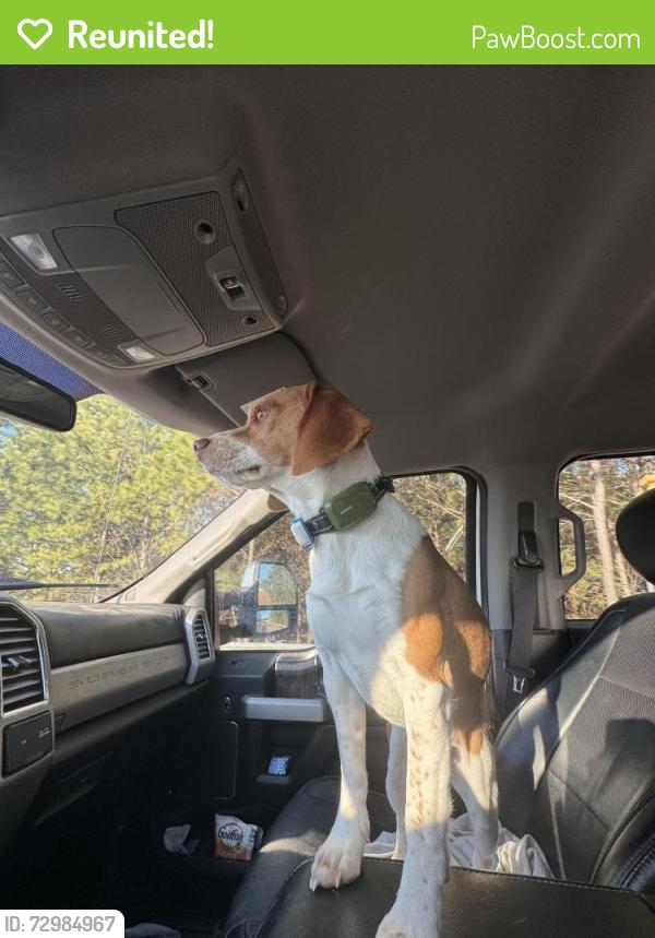Reunited Male Dog last seen Falls lake near Pleasant union church rd, Raleigh, NC 27613