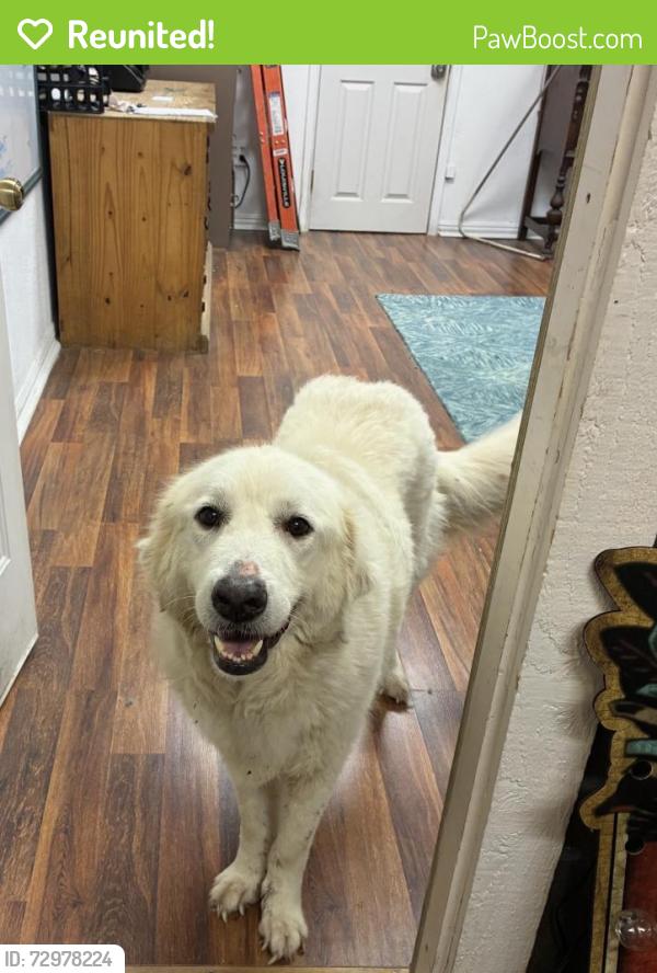 Reunited Unknown Dog last seen Wonder World Park, San Marcos, TX 78666