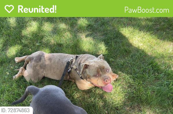 Reunited Male Dog last seen Sycamore, Sioux Falls, SD 57110