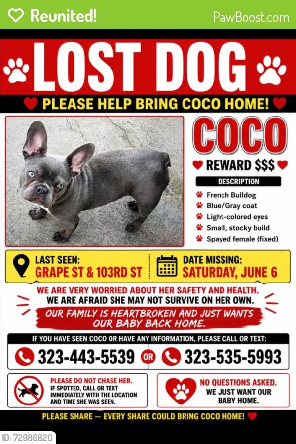 Reunited Female Dog last seen 103rd and g st, Los Angeles, CA 90002