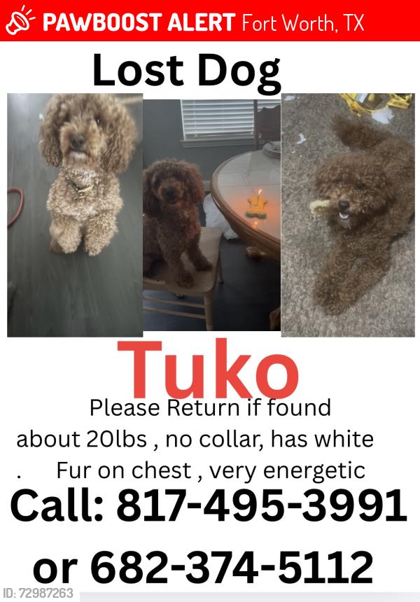 Lost Male Dog last seen 35w and Morningside , Fort Worth, TX 76104