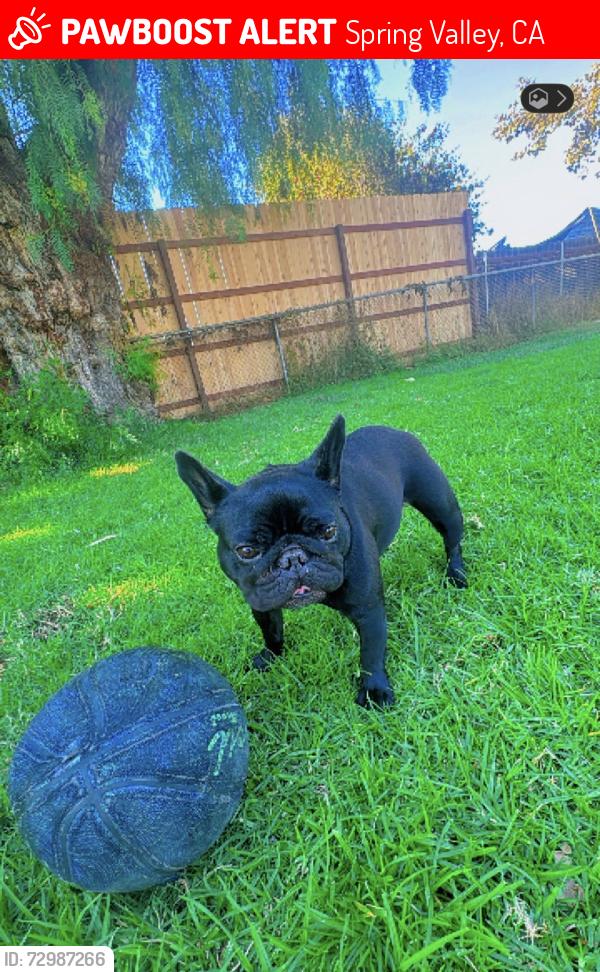 Lost Male Other last seen Near Troy st, Spring Valley, CA 91977