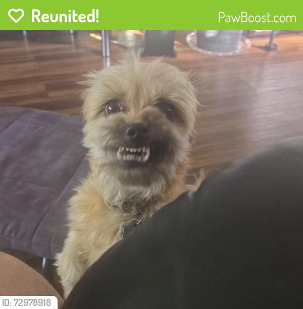 Reunited Male Dog last seen Henderson highway & Winterton , Winnipeg, MB R2K 2H8