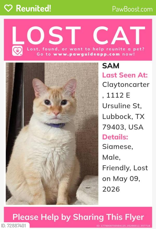 Reunited Male Cat last seen Near e ursuline st, Lubbock, TX 79403