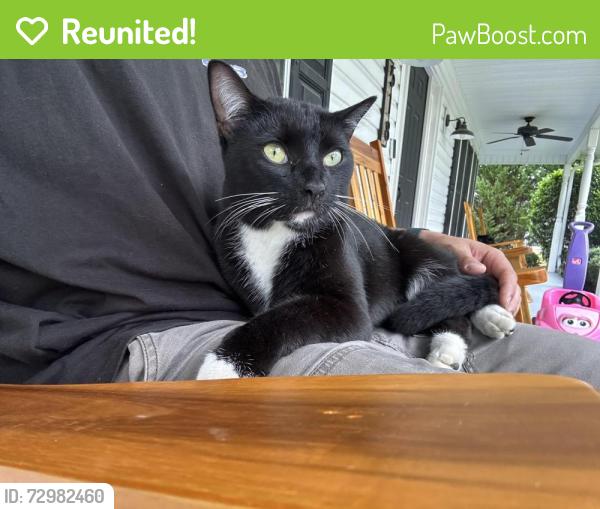 Reunited Unknown Cat last seen Brown Road, Carthage, NC 28327