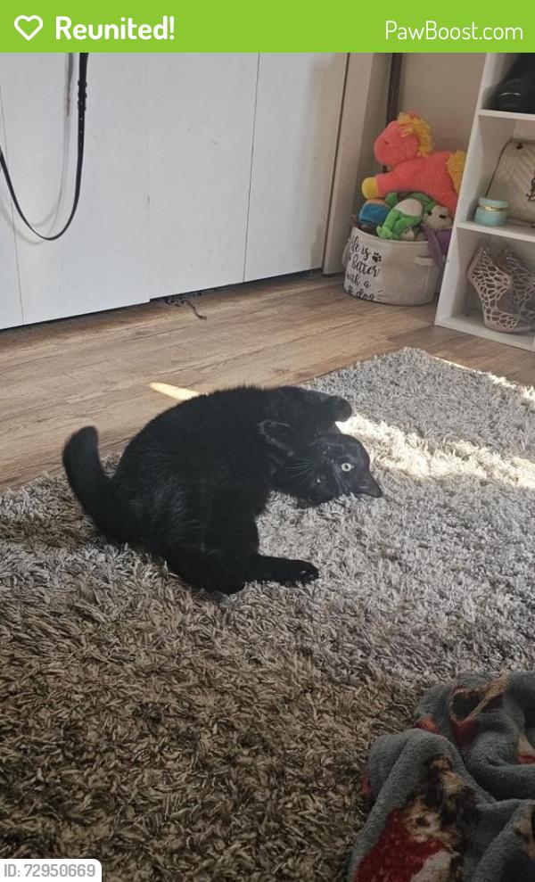 Reunited Male Cat last seen Broadway Avenue, and John Lake Park, Saskatoon, SK S7J 1C7
