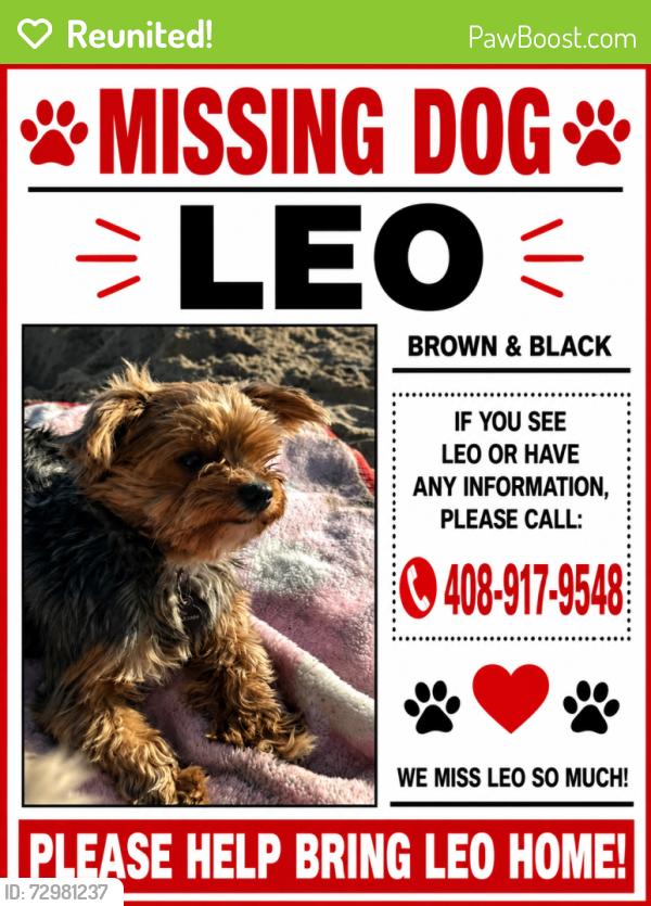 Reunited Male Dog last seen Roehampton, San Jose, CA 95127