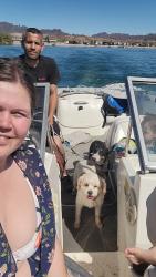 Reunited Female Dog last seen Sycamore highlands park, Riverside, CA 92507