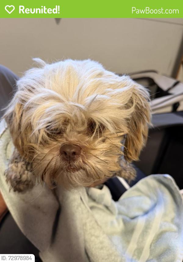 Reunited Male Dog last seen Skillman Lane, Petaluma, CA 94952