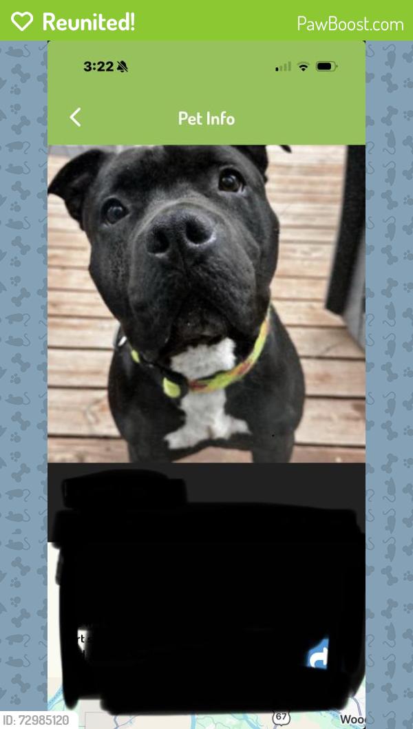 Reunited Female Dog last seen Marechal Ln, Florissant, MO 63031, USA, Florissant, MO 63031