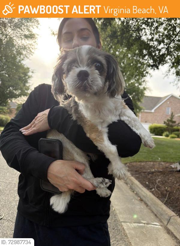 Found/Stray Male Dog last seen Zia drive , Virginia Beach, VA 23456