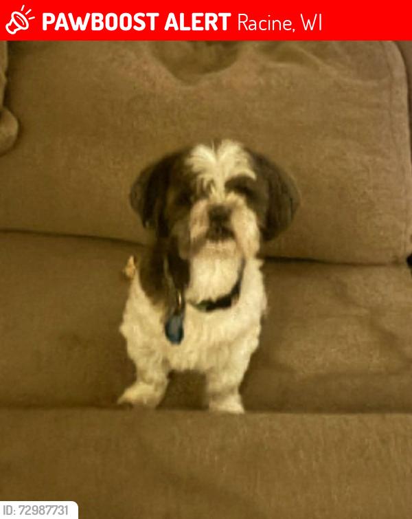 Lost Male Dog last seen 20th St racine, Racine, WI 53405