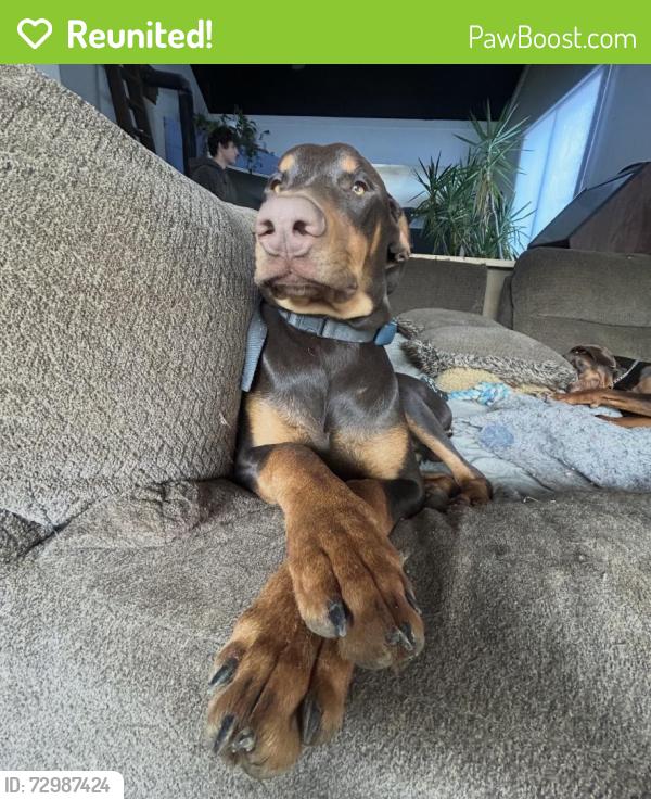 Reunited Male Dog last seen Woodland Mound Park/ 8 mile Road , Cincinnati, OH 45255