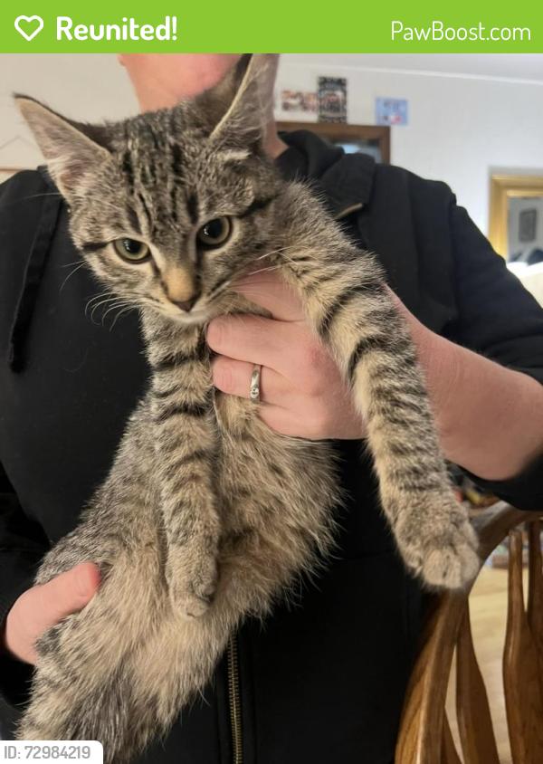 Reunited Female Cat last seen Mackubin Street and Arlington Avenue, Saint Paul, MN 55103