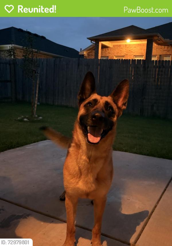 Reunited Male Dog last seen W Rock Creek Rd, Norman, OK, USA, Norman, OK 73069