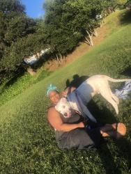 Reunited Male Dog last seen Chase bank , target , wendys, Richmond, CA 94805