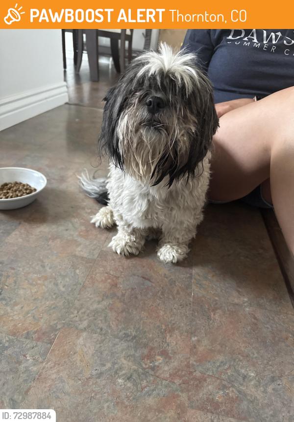 Rehomed Unknown Dog last seen Thornton parkway , Thornton, CO 80229