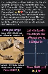 Found/Stray Female Cat last seen Leffingwell Ave. NE & Winesap Dr., Grand Rapids, MI 49525