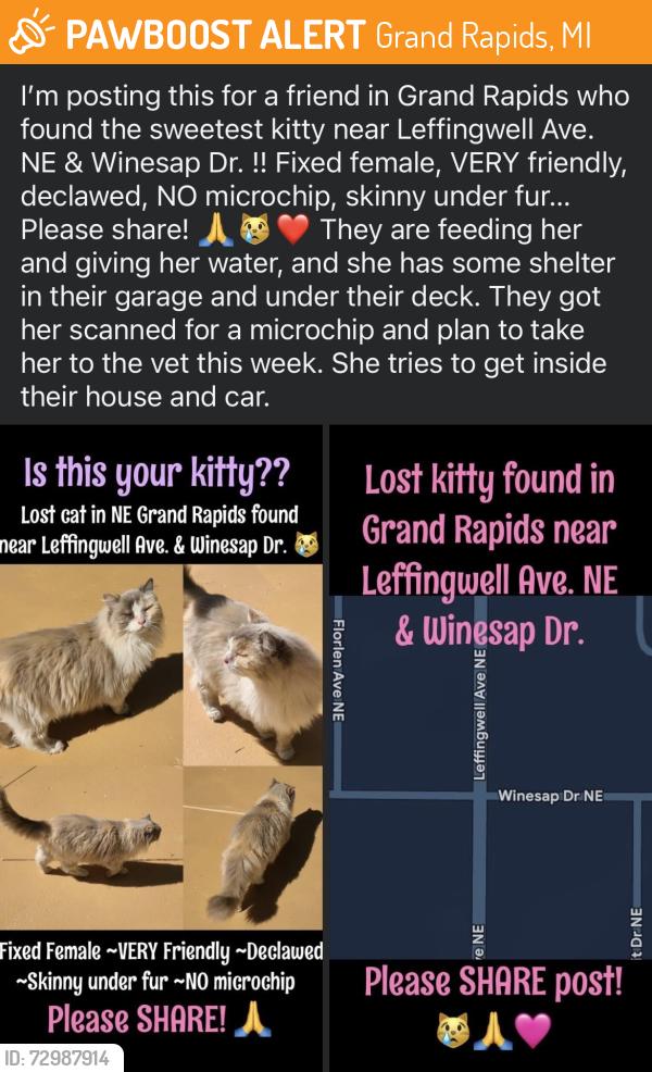 Found/Stray Female Cat last seen Leffingwell Ave. NE & Winesap Dr., Grand Rapids, MI 49525