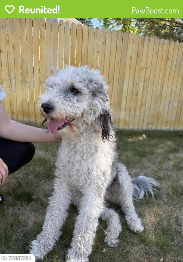 Reunited Female Dog last seen S Walden Way & S Waco Way, Aurora, CO 80013