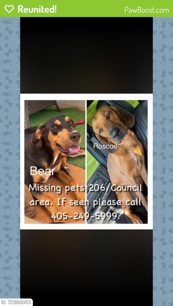 Reunited Male Dog last seen Northwest 206th Street & North Council Road, Oklahoma, USA, Oklahoma County, OK 73012