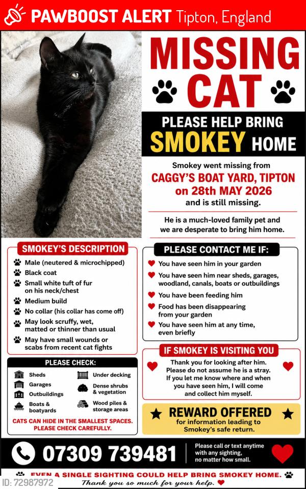 Lost Male Cat last seen Caggys Boat Yard, Watery Lane, Tipton, England 