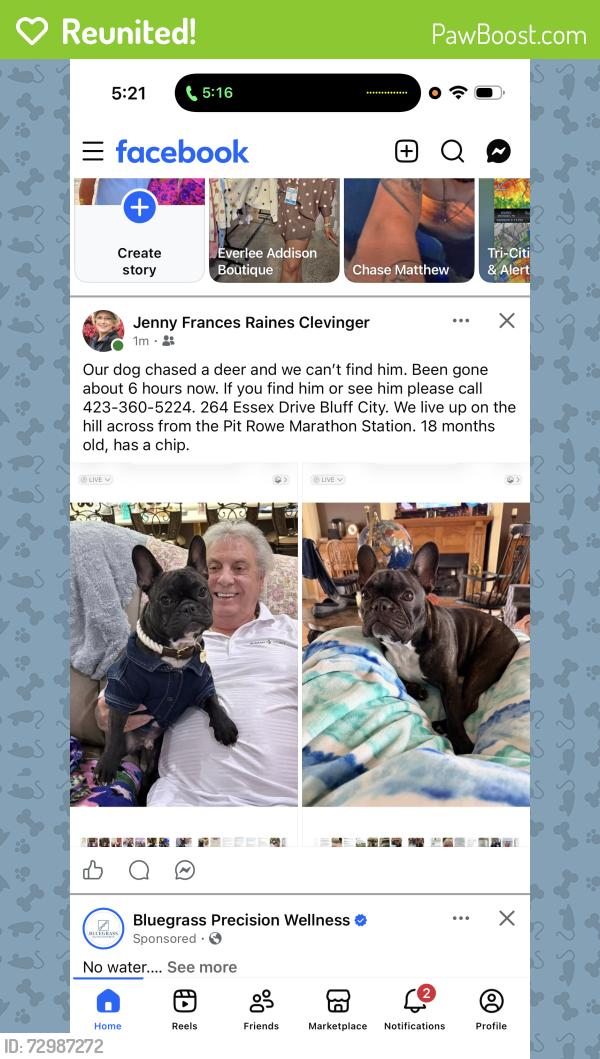Reunited Male Dog last seen Es drive/ hwy 394, Sullivan County, TN 37618