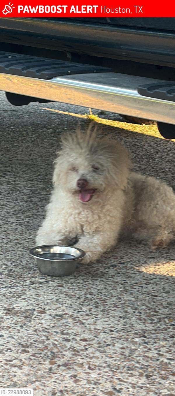 Lost Unknown Dog last seen tidwell rd, Houston, TX 77044