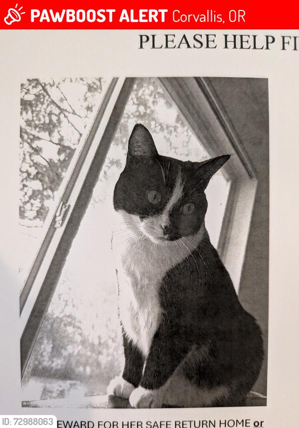 Lost Female Cat last seen Crystal Lake Dr., Corvallis, OR 97333