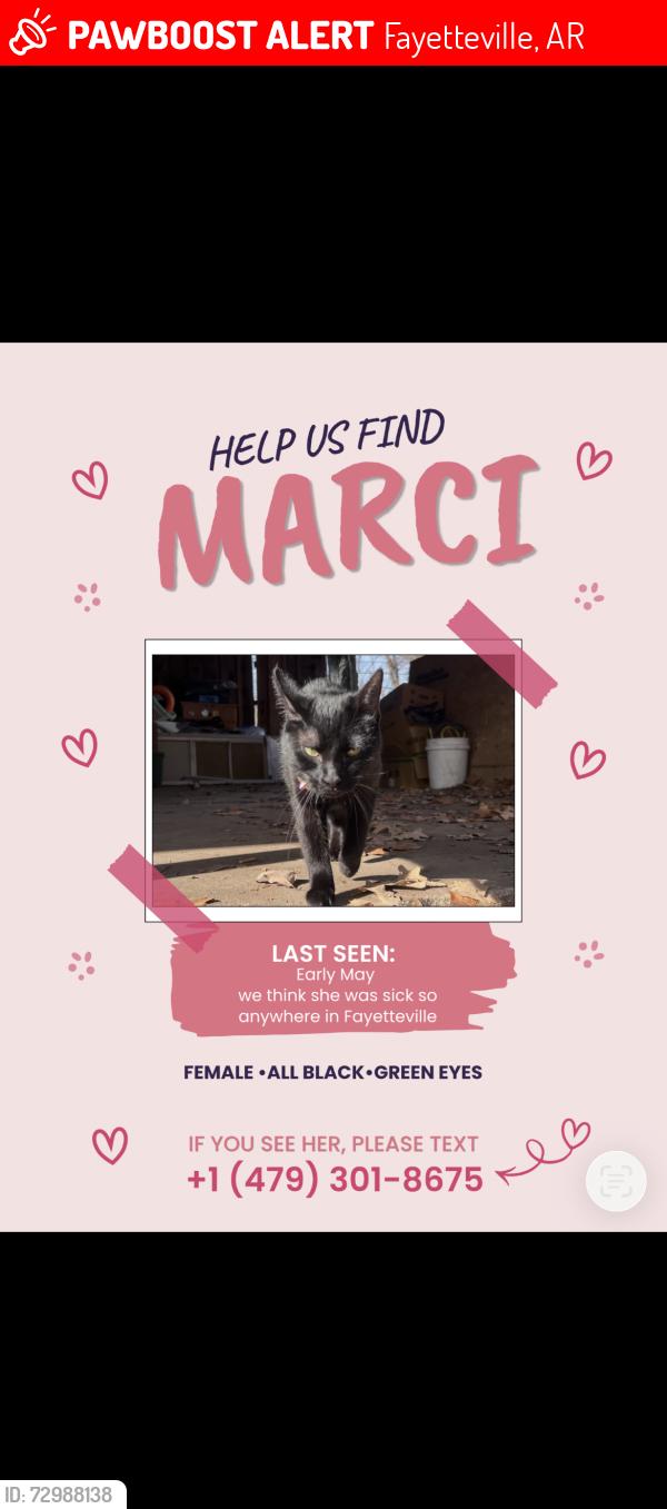 Lost Female Cat last seen Sequoyah mnt, Fayetteville, AR 72701